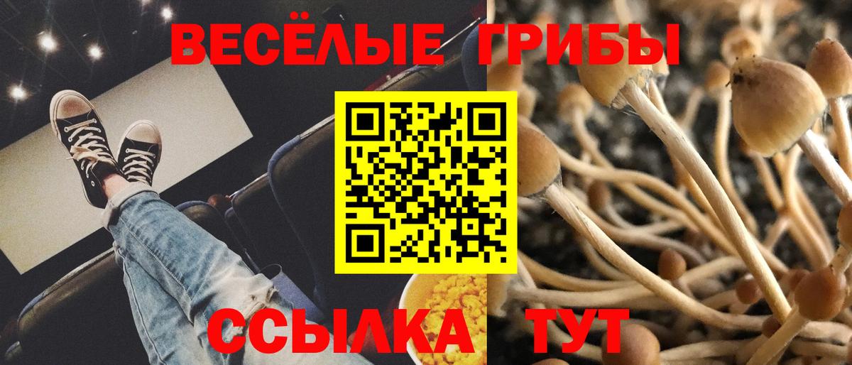Волжский  Галлюциногенные грибы MAGIC MUSHROOMS  Вход с VPN 